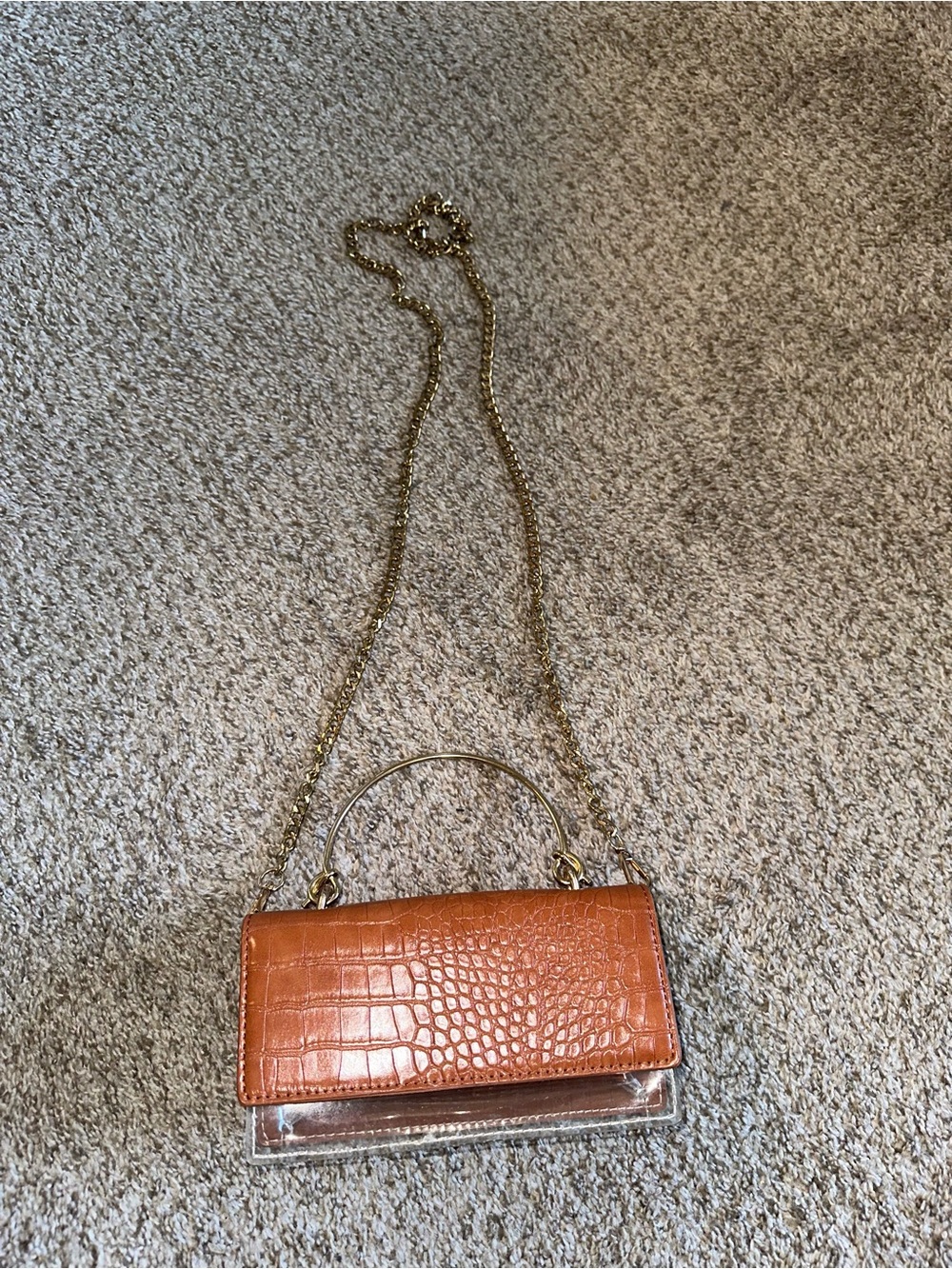 Burnt Orange Croc-Embossed Clear Panel Crossbody Bag with Gold Chain